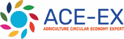 ACE EX