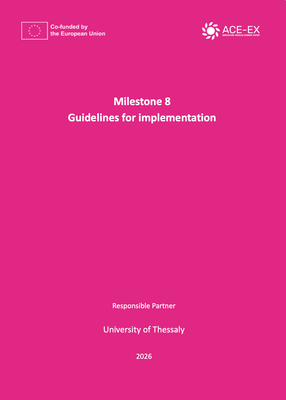 Milestones 8 - Guidelines for implementation PDF