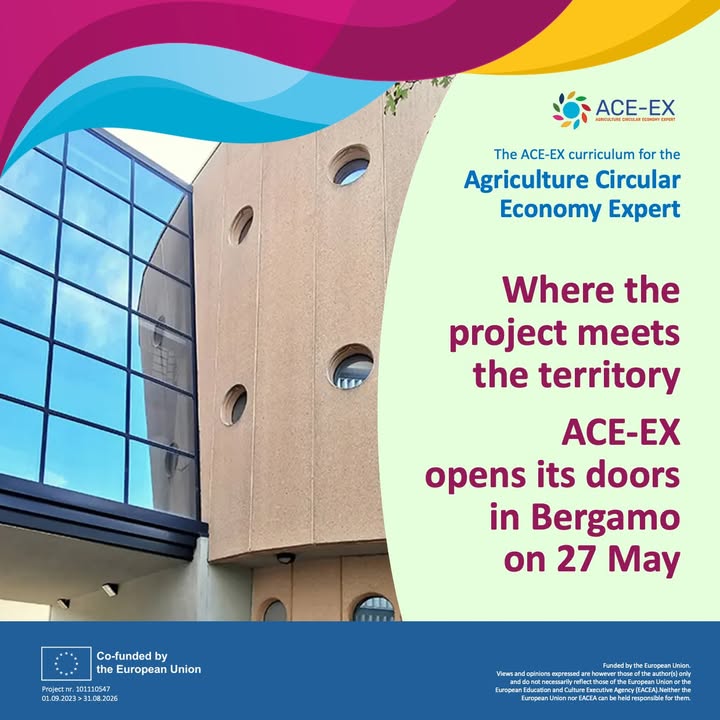 Ace-ex Project