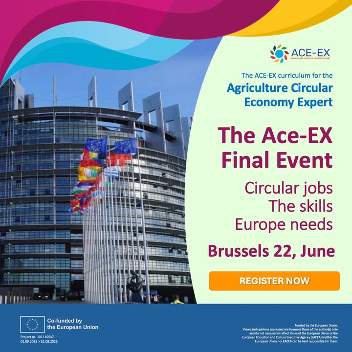 Ace-ex Project
