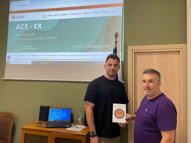 Ace-ex Project